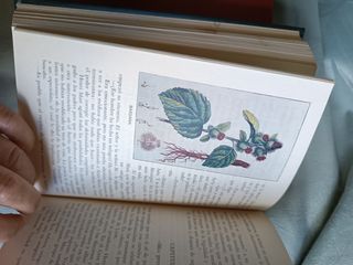 Libros de Selecciones del Reader's Diges