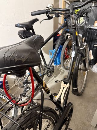 Bici de paseo estilo Holandés 
