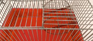 JAULA PARA HAMSTER