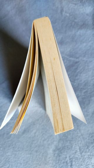 Enigma in luogo di mare