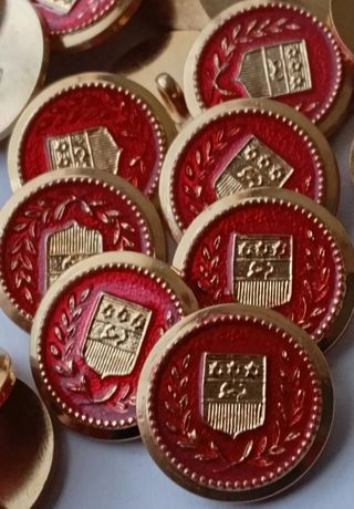 Lote 10 botones- 8 modelos