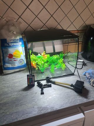 Acuario 