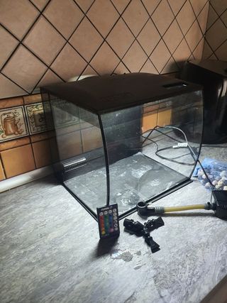 Acuario 