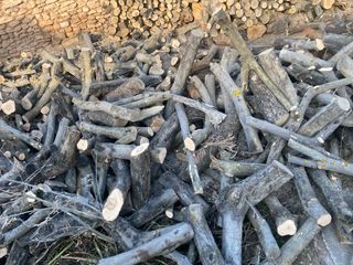 Leña de olivo