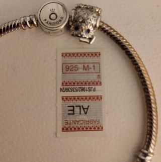 Pulsera y charm de Pandora