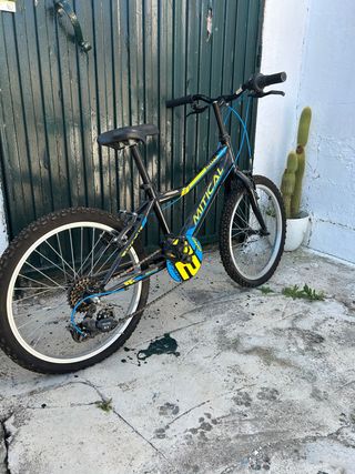 bici