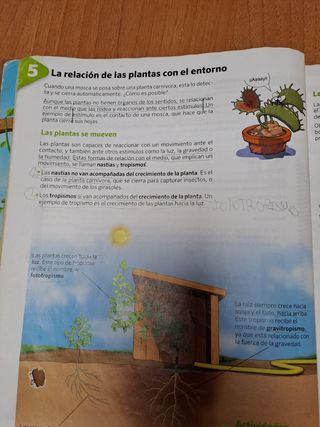 Libro de ciencias naturales 5 primaria