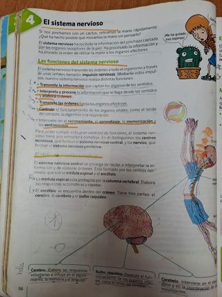 Libro de ciencias naturales 5 primaria