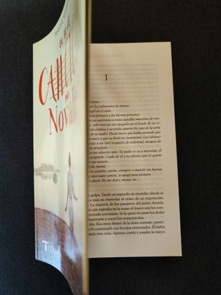 Una canción para Novalie. María Martínez