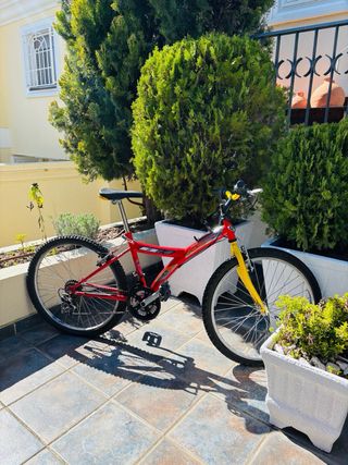 Bicicleta junior BH 7V 3 platos