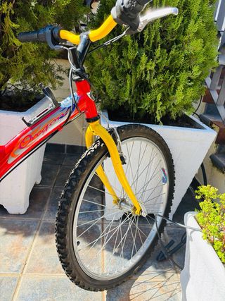 Bicicleta junior BH 7V 3 platos