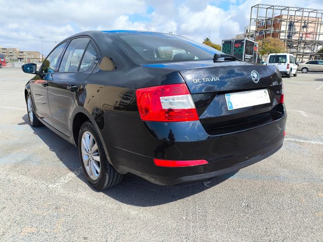 SKODA Octavia 1.6 TDI CR 105cv DSG CR Ambition
