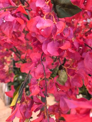 Árbol de buganvilla artificial