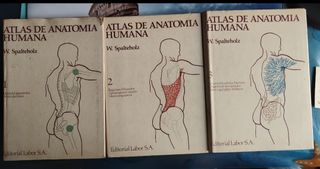 Atlas de anatomía