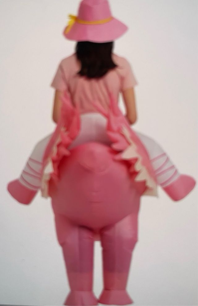 Disfraz flamenco niño