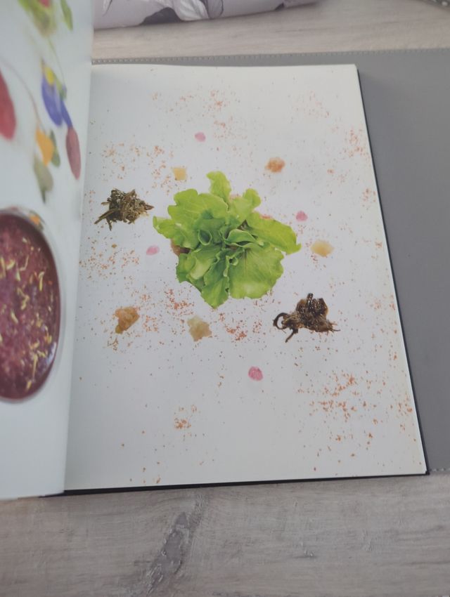 COOKTAIL (Spanish Edition)