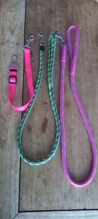 Correas perro