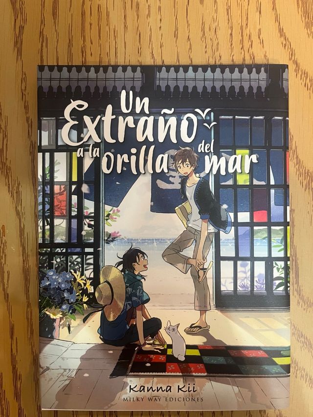 Un extraño a la orilla del mar 1