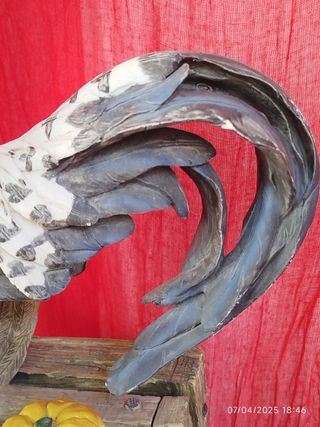 Gallo y gallina, 40cm muy decorativo.