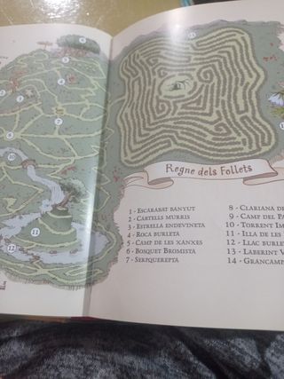 Libro Al regne de la fantasia