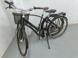 Bicicleta danesa de paseo Ebsen St. Tropez