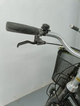 Bicicleta danesa de paseo Ebsen St. Tropez