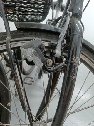 Bicicleta danesa de paseo Ebsen St. Tropez