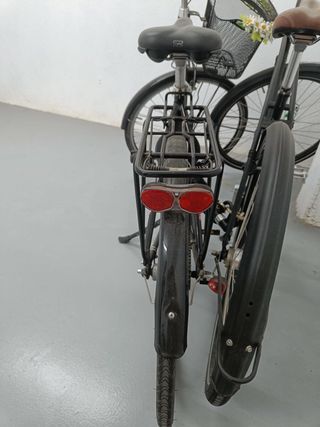 Bicicleta danesa de paseo Ebsen St. Tropez