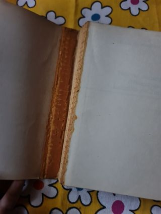 Nuevas andanzas y desventuras de lazaril