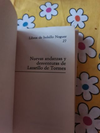 Nuevas andanzas y desventuras de lazaril