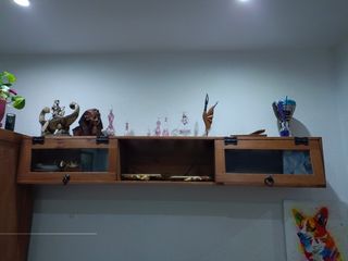 Muebles de salón y comedor 