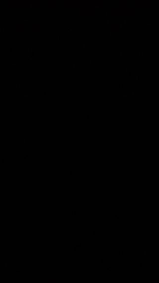 Rejas de puerta
