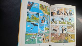 AVENTURAS EXTRAORDINARIAS DE MASSAGRAN