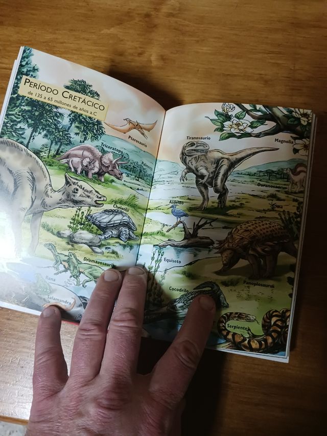 Libro " Viaje en el tiempo".