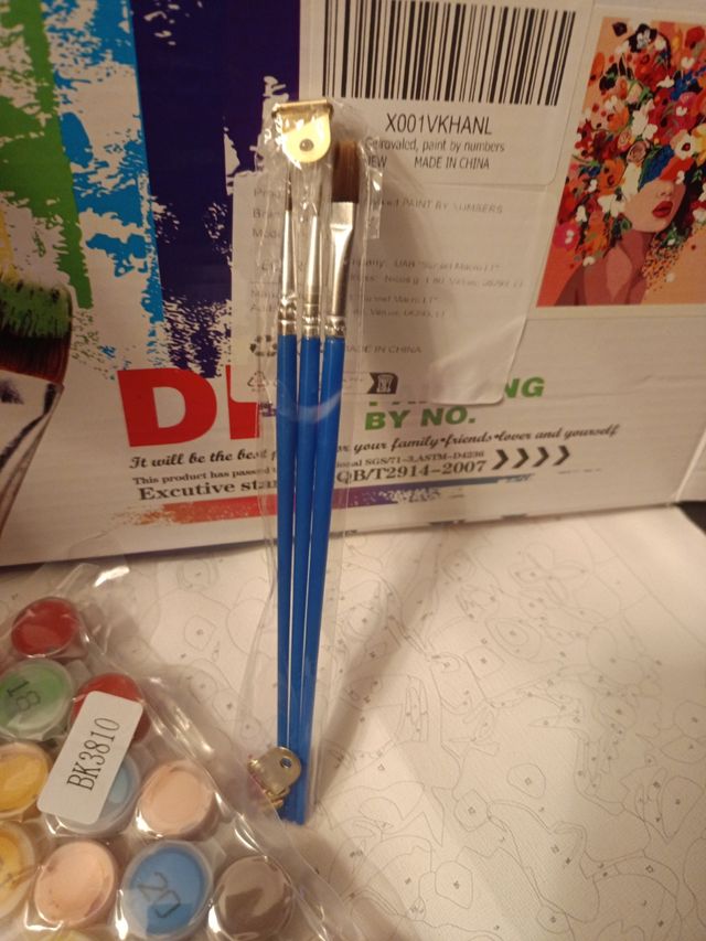 KIT DE PINTURA por números 40x50