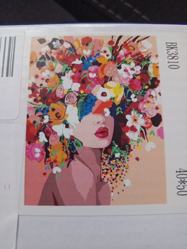 KIT DE PINTURA por números 40x50