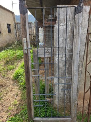 Reja