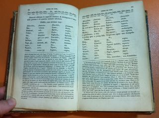 Corso graduato di lingua inglese 1851