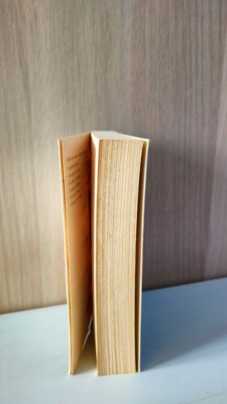 Le Porte Di Camelot. Le Cronache Di Camelot