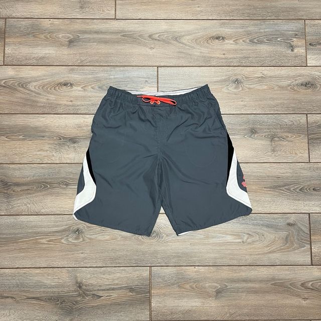 Nike grey Swim Suit Shorts