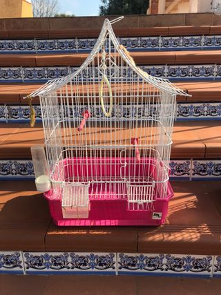 Jaula pájaros