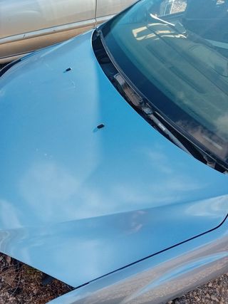 Capot ford focus 2005