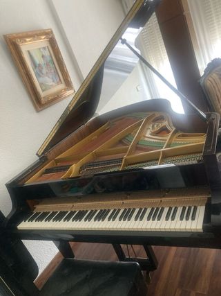 PIANO SCHIMMEL