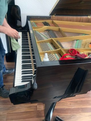 PIANO SCHIMMEL