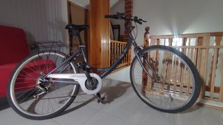 Bicicleta paseo