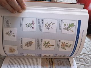 Libro medicina  natural  y alternativa