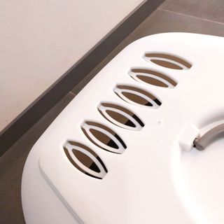 TOILETTE X GATTI