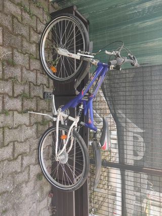 Mountain bike Monster