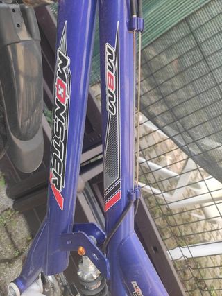 Mountain bike Monster