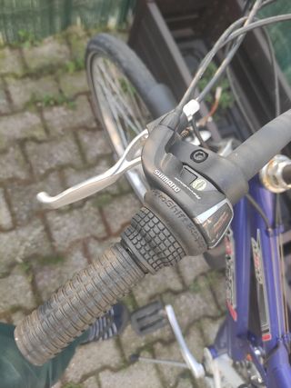 Mountain bike Monster
